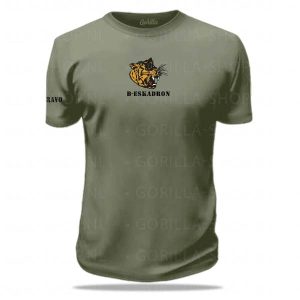 11 tankbataljon B-eskadron