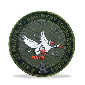 patch a-cie 42 painfbat
