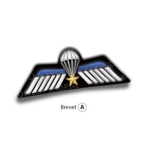 Para wing sticker