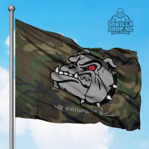 42 Painfbat (B-cie) vlag